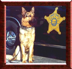 Von Charisma's Deruska- working K9
