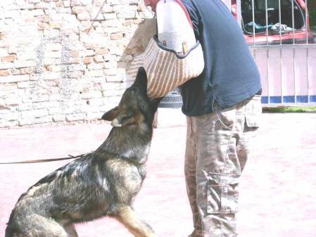 celebrità di luna moravia campanella