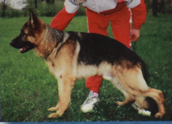 Wasko vom Mons Tabor