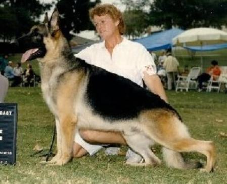 Nike Clayfield Chateau