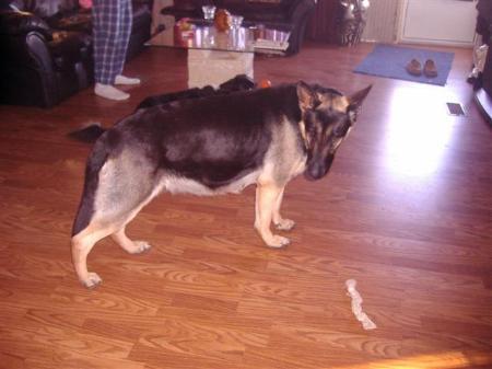 Reyonna Hoffnung Laleman