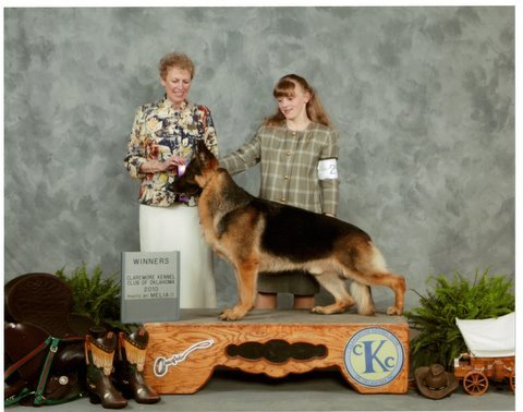 AKC CH Geran's Down To My Last Dollar