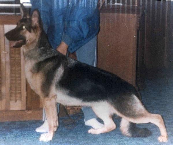 DuChien's Jane of Langenau