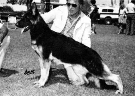 Heart's Desire of Bob-Lyn