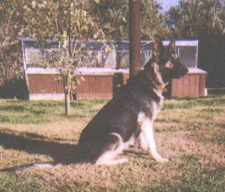 Concho's Cherokee Xena