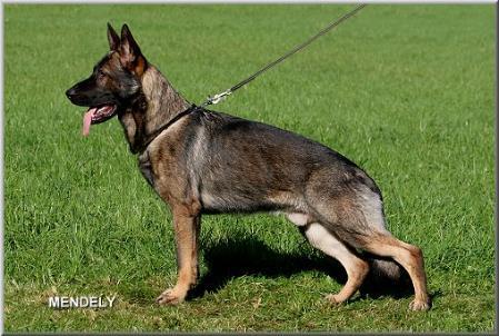 SG Arafat von der Schiffslache