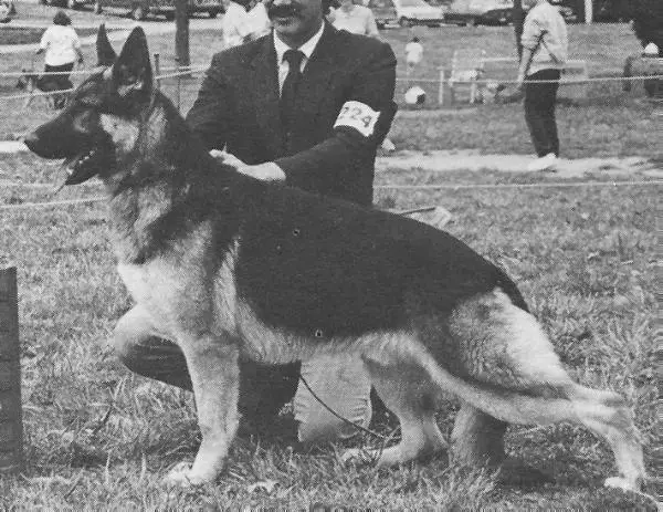 A/C CH Altana's Detroit