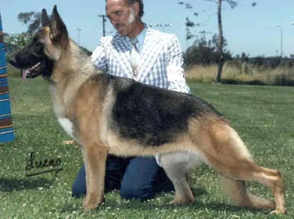 Weicho's Strike it Rich