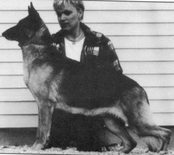 Cross Timbers Clihu Glory