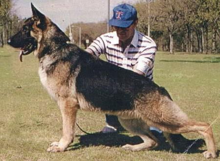 Cross Timbers Clihu Regis