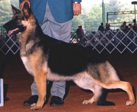 13 CLUB MEMBER Melana's Obsession v Clihu