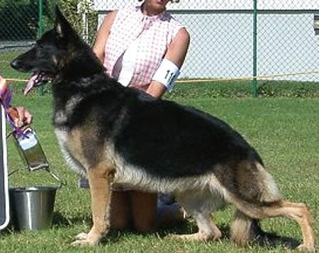 CH (US) Melana's Just in Time