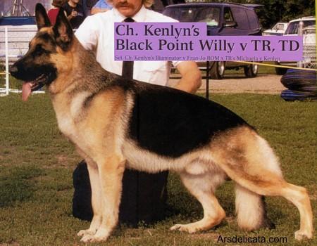 CH (US) Kenlyn's Black Point Willy v TR