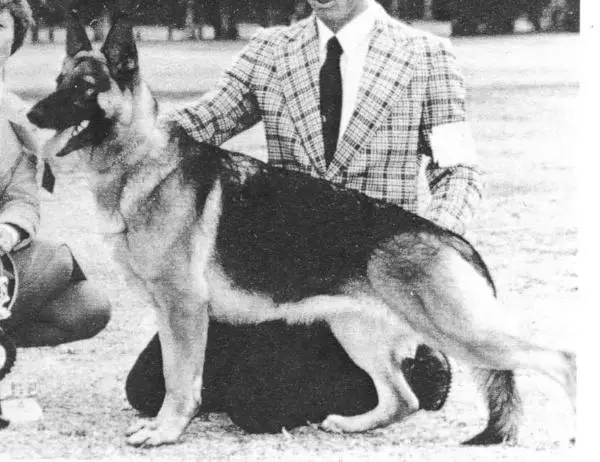 CH (US) Woodacre's Annie Oakley