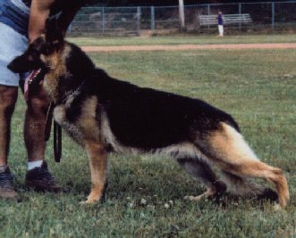 Hardesty's Corvette Royale