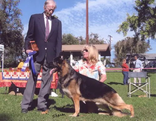 Utopia's Smooth As Ice