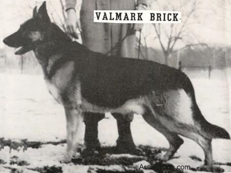 CH (US) Valmark Brick