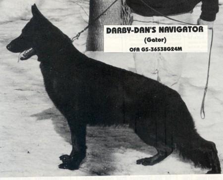Darby-Dan's Navigator