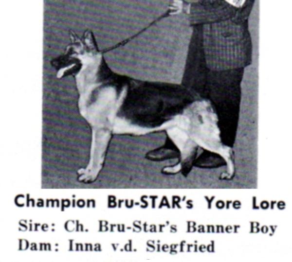 CH (US) Bru-Star's Yore Lore