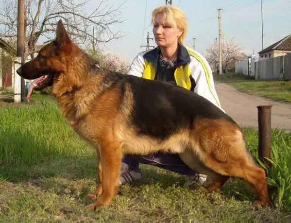 CH.UA Orbit lie Anne Lur