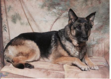 Lord Ulrik Von Ollie-Hasko