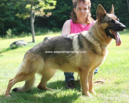 Christa von der Hainstadt