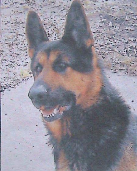 Jacco Vom Schafer See