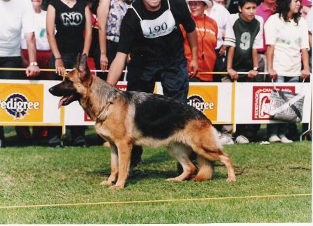 SG1 SIEGER  MEXICO A-Vanta von Asar