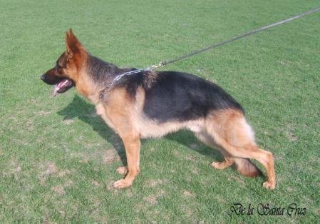 Neptuno von zu Hause Farell