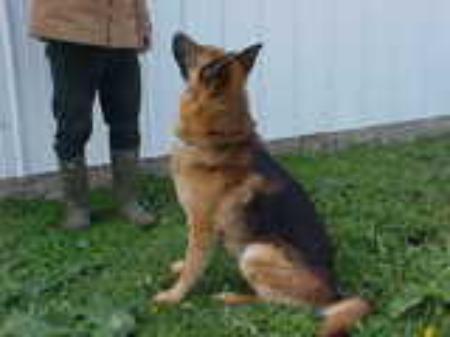 axel von deutschland direkt