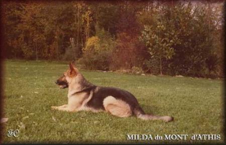 Milda du Mont d'Athis