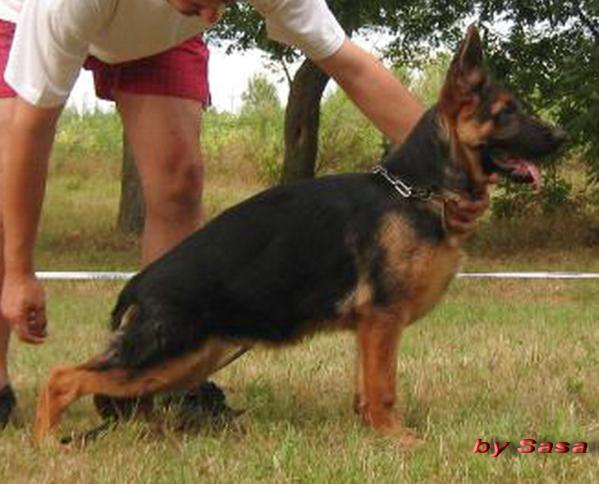 Ronaldo vom Team Panoniansee