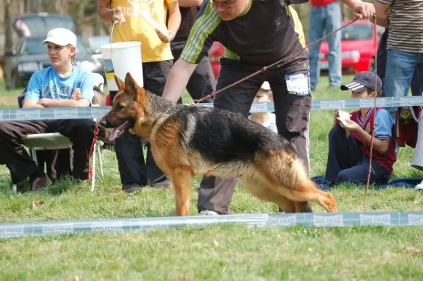 Club Siegerin Schneider Rayssa