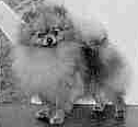 CH Rhynstone Dodger of Lenette