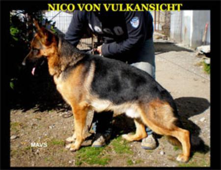Nico Von Vulkansicht