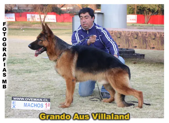 SG9 (ARG) Grando Aus Villaland