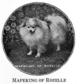 Mafeking of Rozelle