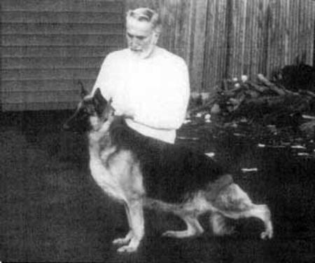 Leiter's Kiona