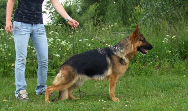 V BSZ ULLM 2009 Quelle vom Haus Bruchersee