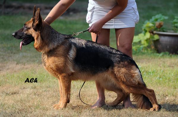 Usha iz doma Infanti