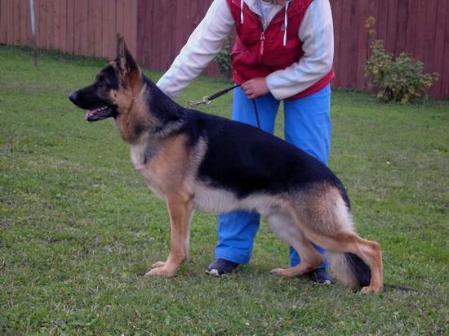 Unesco von der Noriswand