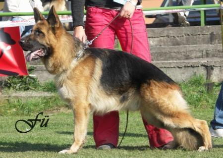 SG1 VT, V2 (CZ) Yeck Lonadard