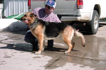 Rodak's Bantee Vom Trakhund