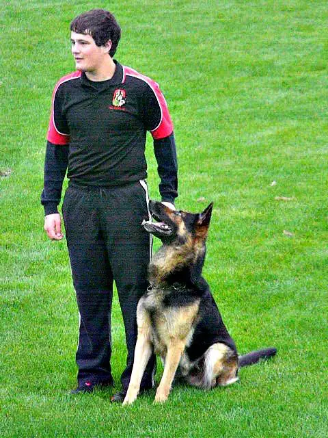 SG Bo vom Diamant Grenze