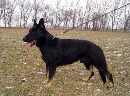 Cliff von der Thurnsteiner Höhe