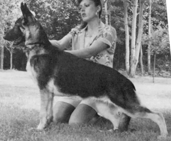 Amherst's Wheel Of Fortune