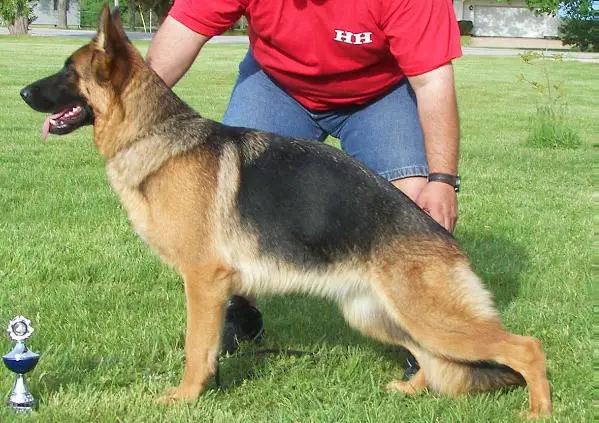 SG1 Taiga vom Nordosten Haus