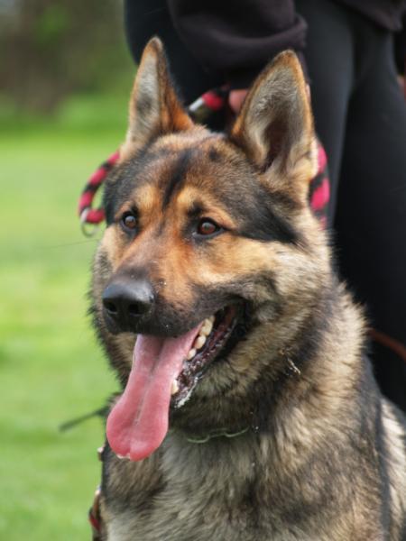 CAC, VD Agbar Anery Slovakia