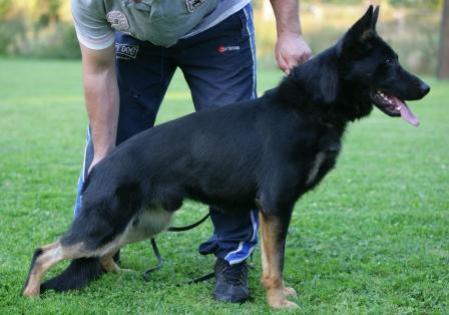 Jukon von der Staatsmacht