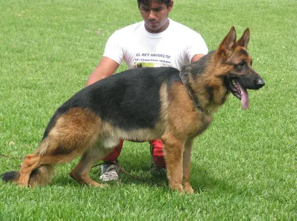 VA, Connan Di Casa Caputi